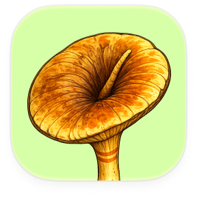 Pappies app icon